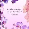 Descubre Mi Agenda Planificador de Éxitos 2025: La Herramienta Perfecta para Organizar tu Vida