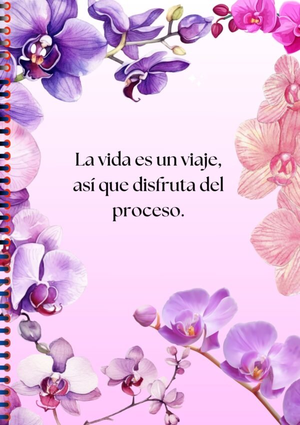 Descubre Mi Agenda Planificador de Éxitos 2025: La Herramienta Perfecta para Organizar tu Vida