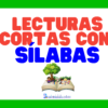 ¡Descubre la Magia de Leer con nuestro Cuadernillo de Sílabas!